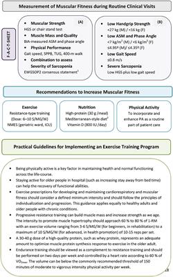 Importance of Assessing Muscular Fitness in Secondary Care